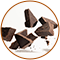 null